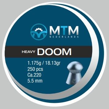 .22 Heavy Doom