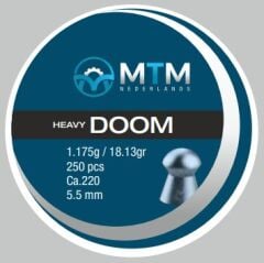 .22 Heavy Doom